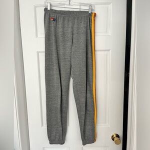 Aviator Nation rainbow stripe sweatpants
